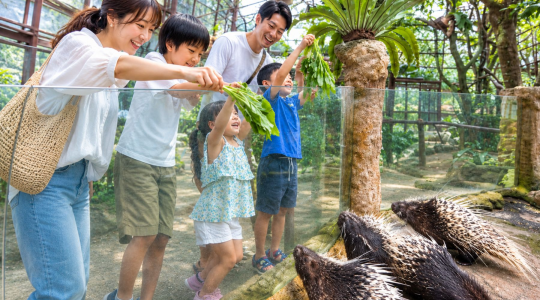 ふれあい動物園「Farm_in_the_City」